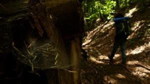 diario-fotografico-000